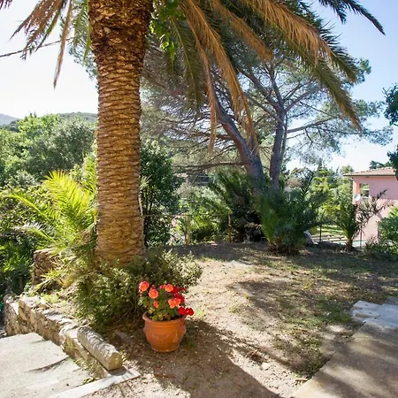 Casa Del Colle E Bougainville Procchio (Isola d'Elba)